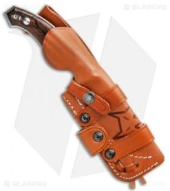 Fox Knives Octopus Vulgaris Fixed Blade Knife Zircote Wood (4.3" Sat) FX-510 ZW -Fox Knives Shop Fox Knives Octopus Vulgaris Fixed Blade Knife Zircote Wood 4.3 Satin BHQ 86470 LS Sheath