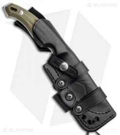 Fox Knives Octopus Vulgaris Fixed Blade Knife OD Green G-10 (4.3" SW) FX-510 OD -Fox Knives Shop Fox Knives Octopus Vulgaris OD Green G 10 SW 02FX691 BHQ 88387 jr sheath